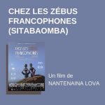 chez les zébus francophones - 2024 - relations presse